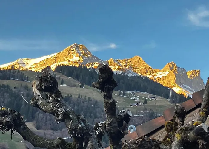 Gerschnistrasse 10 By Interhome Apartment